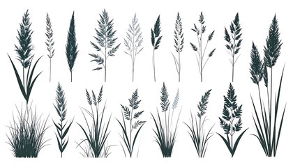 Naklejka premium Collection of stylized grass