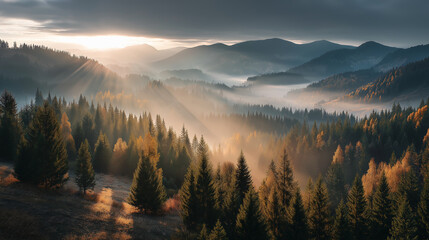 Obraz premium A breathtaking view of a misty mountain landscape at sunrise, with sun rays piercing through the clouds and illuminating a dense forest of evergreen trees. The serene scene captures the beauty of
