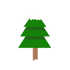 christmas tree isolated on white