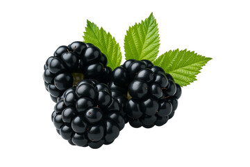 Fresh Purple Berries Isolated on Transparent Background – Juicy Organic Berry Close-Up