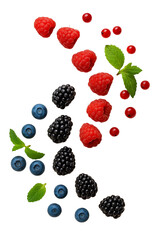 Top view of four berries flying in a beautiful symmetrical shape isolated on transparent background