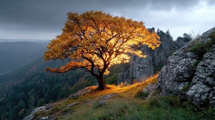 Obraz premium Golden Tree on Hillside