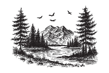 Vintage mountain lake scene with pine forest and flying birds, detailed hand-drawn engraving style illustration of wilderness landscape.