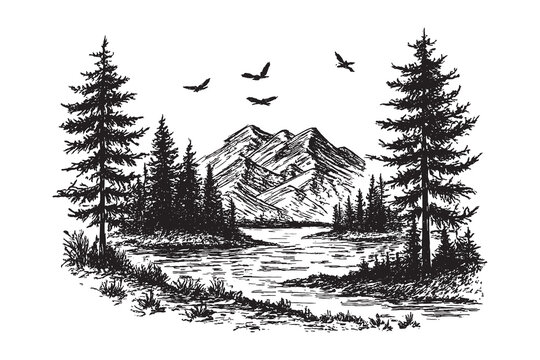 Vintage mountain lake scene with pine forest and flying birds, detailed hand-drawn engraving style illustration of wilderness landscape.