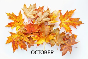 Cluster of vibrant autumn maple leaves forming a bunch with OCTOBER text printed on them, isolated on white background, creative seasonal design for fall greeting cards and autumn projects