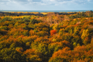 Beautiful autumnal evening landscape