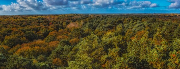 Beautiful autumnal evening landscape