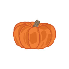 Pumpkin autumn hand drawn, hand painted pumpkin vector with isolated transparent background.
