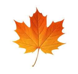 Fototapeta premium Autumn Maple Leaf (Orange‑Red) – Isolated Transparent PNG