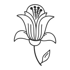 Flowers on a black and white Luxury botanical background with trendy wildflowers and minimalist flowers for wall decoration or wedding.