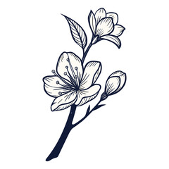 Flowers on a black and white Luxury botanical background with trendy wildflowers and minimalist flowers for wall decoration or wedding.