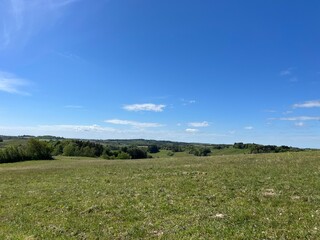 Fototapeta premium field of grass and blue sky