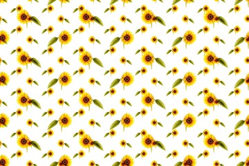 Yellow sunflower. Seamless texture for design. Ripe yellow sunflower scattered on a white background in a pattern for fabric and paper