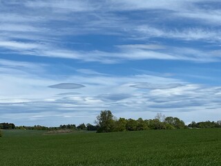 green grass and blue sky