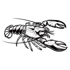 black and white silhouette vector of a lobster
on a white background