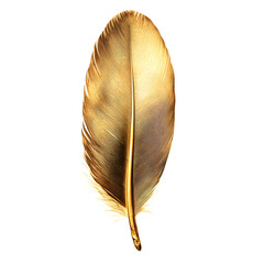 Exquisite Gold Feather Pigeon Macro Photography: Detailed Textures and Colors