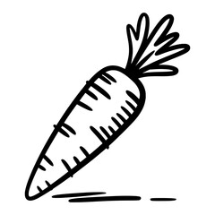 Hand drawn sketch illustration of carrot vegetable in black and white vector style