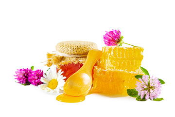 Jar with honey, honeycomb, clover and chamomile flowers and wooden spoon for honey.