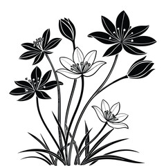 Black and white illustration of star-shaped flowers and buds with grass on a white background
