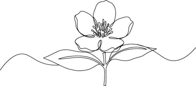Elegant jasmine flower continuous line drawing on white backgrou