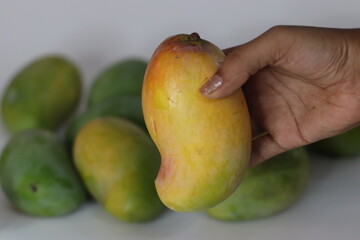 Raseeli mango in hand with green mangoes behind—South Asian fruit symbolizing ripeness and contrast