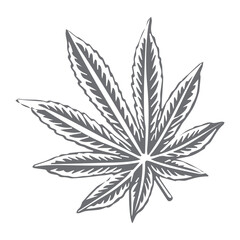 Cannabis Leaf, marijuana