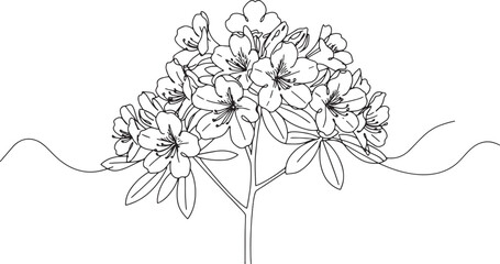 Elegant rhododendron plant illustration in minimal style on a wh