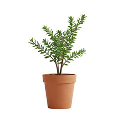 Obraz premium Potted green plant with fresh leaves in a small terracotta pot isolated on transparent background. 