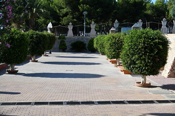 piękny deptak w parku kurzym w Torrevieja zielone krzewy palmy © Miroslaw