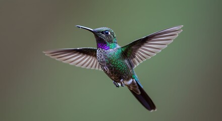 Fototapeta premium Nature's Marvel of Intricate Wing Engineering