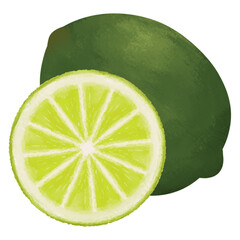 Whole And Sliced Lime Illustration