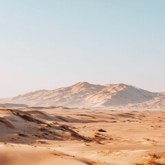 Naklejka premium Wide Landscape of Desert Dunes with Soft Shadows
