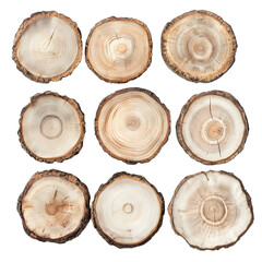 Rustic Wooden Tree Slices for Natural Wood Decor and Crafts