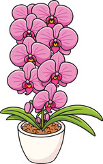 Elegant phalaenopsis orchid vector, tropical flower illustration with soft petals and natural beauty