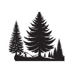 Obraz premium Douglas Fir Evergreen Conifer Tree Vector Design.