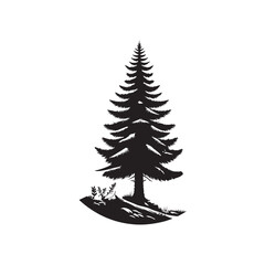 Douglas Fir Evergreen Conifer Tree Vector Design.