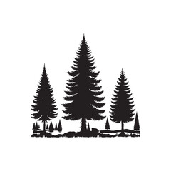 Obraz premium Douglas Fir Evergreen Conifer Tree Vector Design.