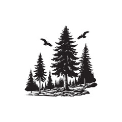 Douglas Fir Evergreen Conifer Tree Vector Design.