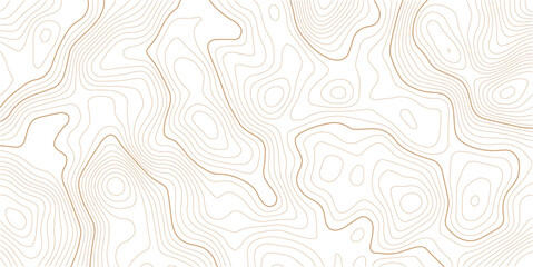 Topography and geography map grid abstract backdrop. Abstract topographic contours map background. Contour Line Pattern in Black and White. Luxury gold abstract line art background vector