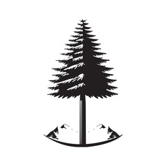 Douglas Fir Evergreen Conifer Tree Vector Design.