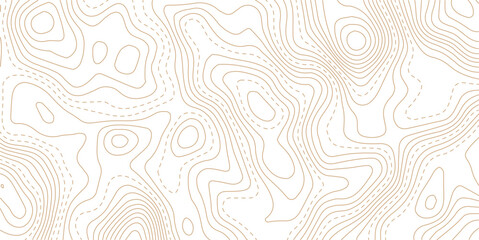 Topography and geography map grid abstract backdrop. Abstract topographic contours map background. Contour Line Pattern in Black and White. Luxury gold abstract line art background vector