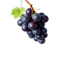 Fototapeta premium Photo of bunch of purple grapes hanging isolated on transparent background