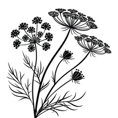 Black and White Silhouette of Dill Flowers with Feathery Leaves herb spice