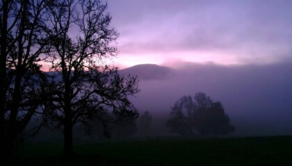 Silhouetted trees against a purple-toned misty landscape at dawn or dusk