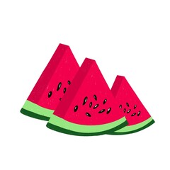 Collection of Triangular Watermelon Slices in Flat Style