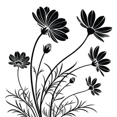 Black Silhouette of Cosmos Flowers and Buds on a White Background floral black and white