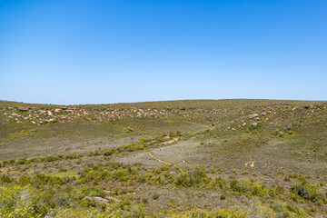 Landscape north of Nieuwoudtville, Northern Cape, South Africa