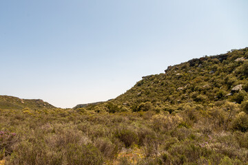 Landscape north of Nieuwoudtville, Northern Cape, South Africa