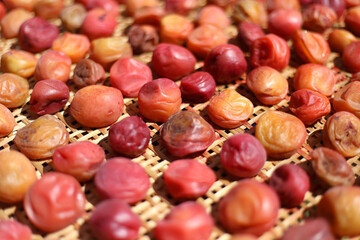 梅干しを干す様子