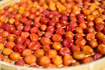 梅干しを干す様子